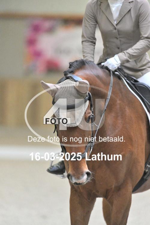 250316 0266