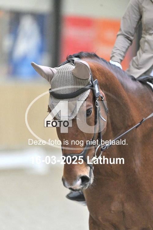 250316 0268