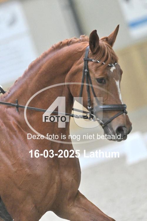 250316 0281
