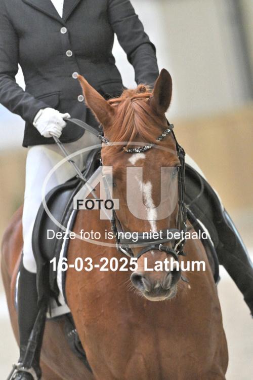 250316 0294