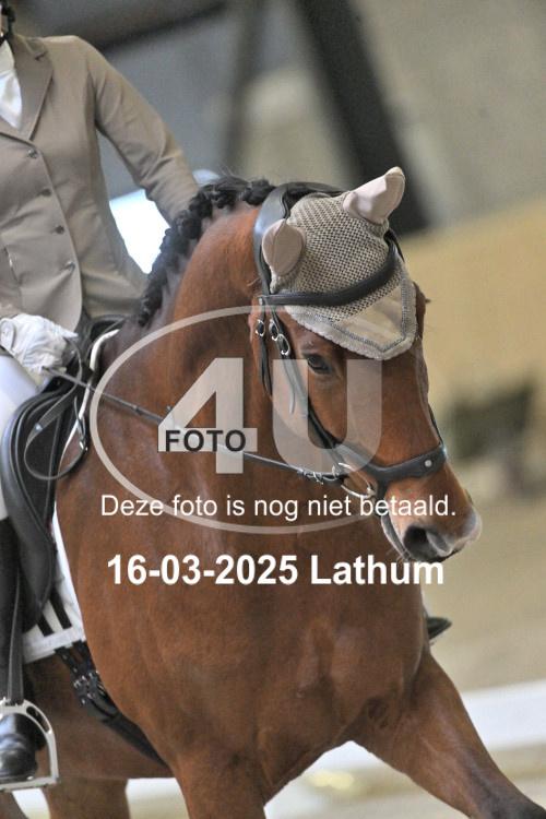 250316 0337
