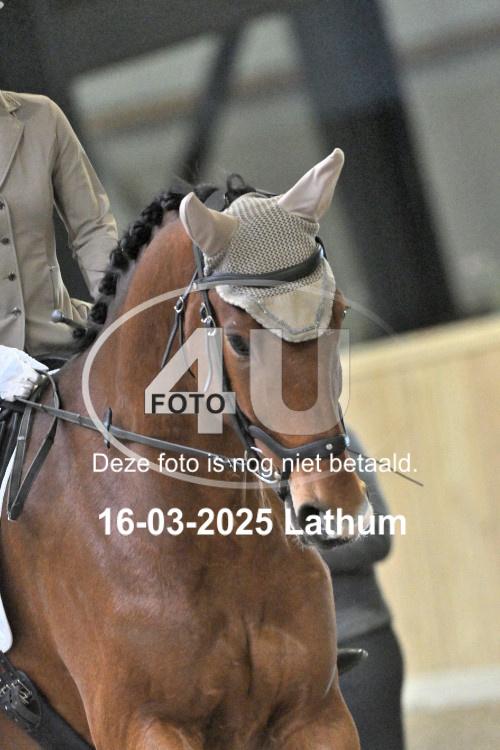 250316 0356