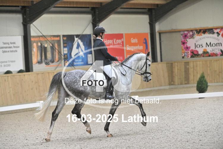 250316 0381