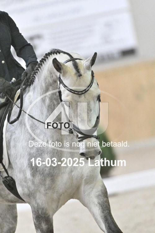 250316 0390