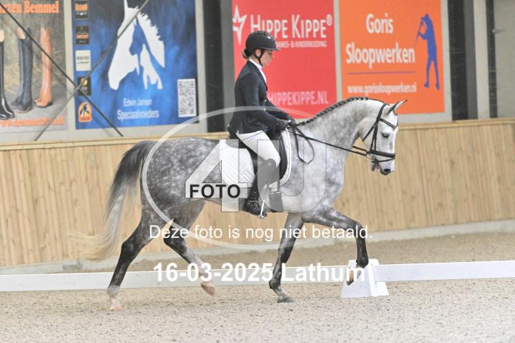 250316 0402