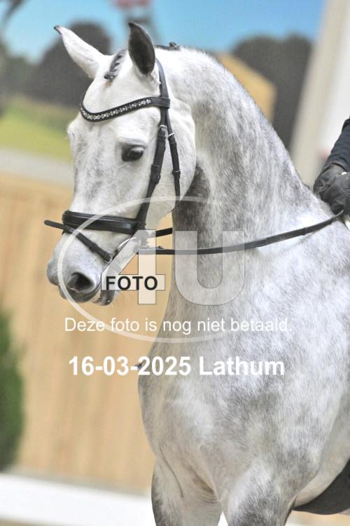 250316 0418
