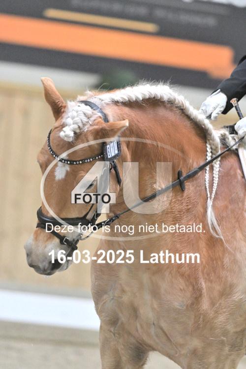 250316 0433