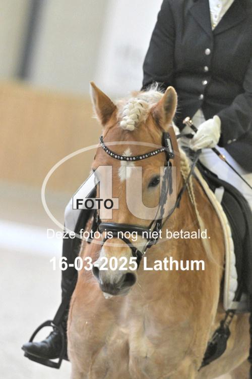 250316 0464
