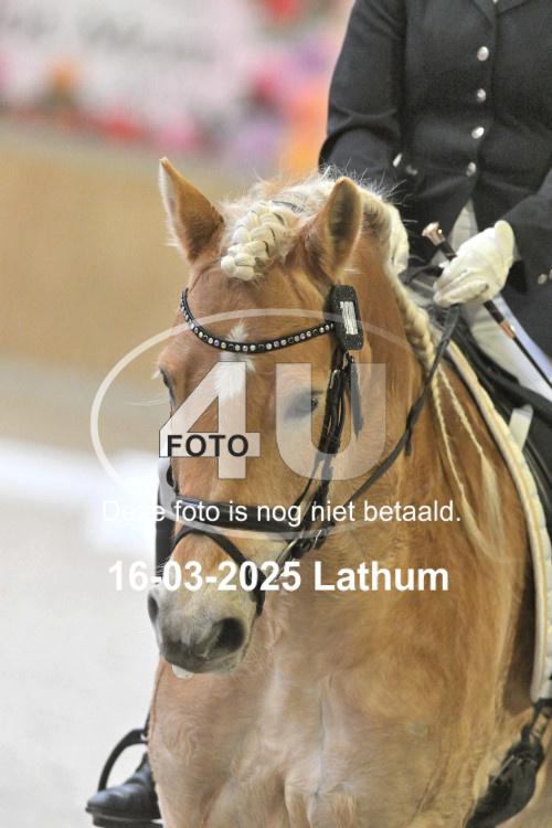250316 0466