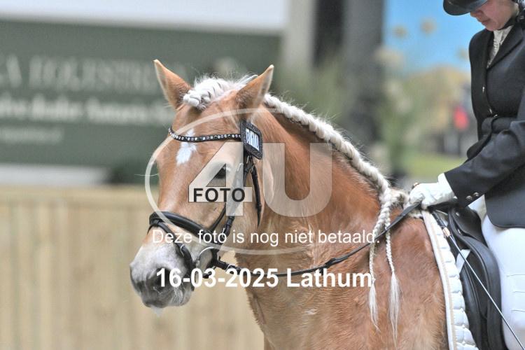 250316 0480