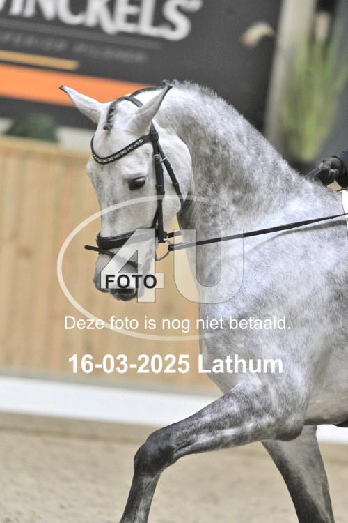 250316 0490