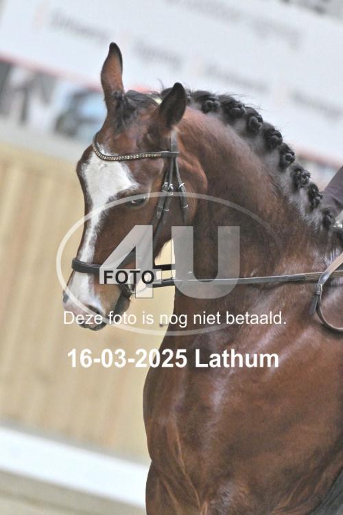 250316 0862