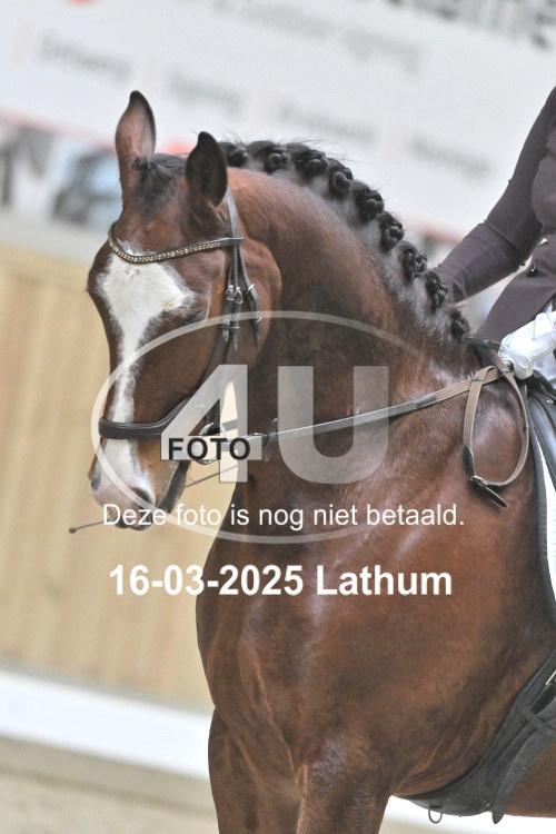 250316 0863