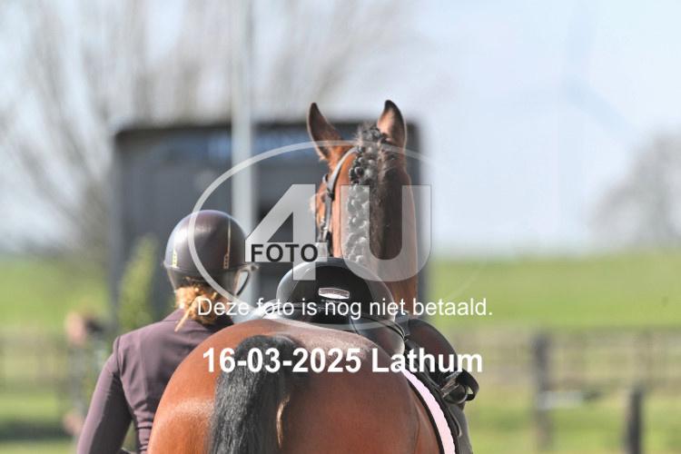 250316 0881