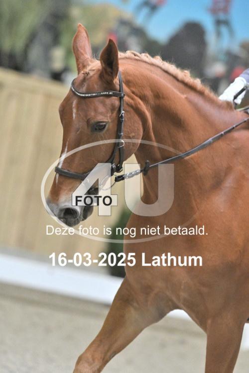250316 1006