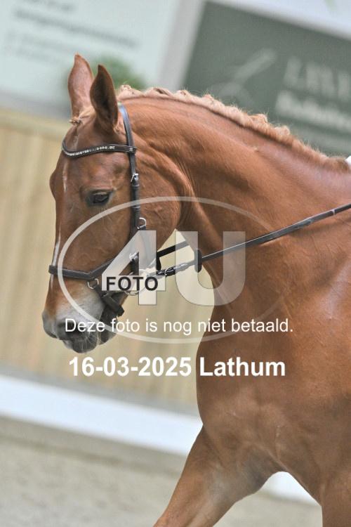 250316 1007