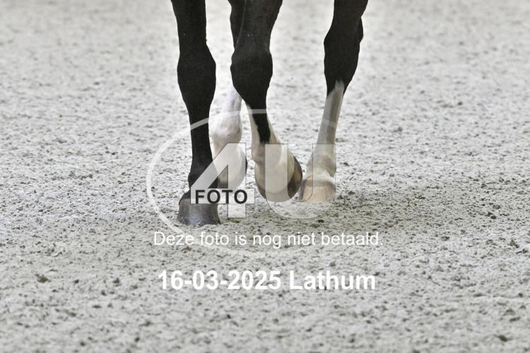250316 1113
