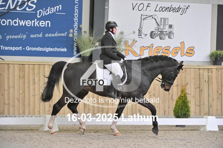 250316 1115