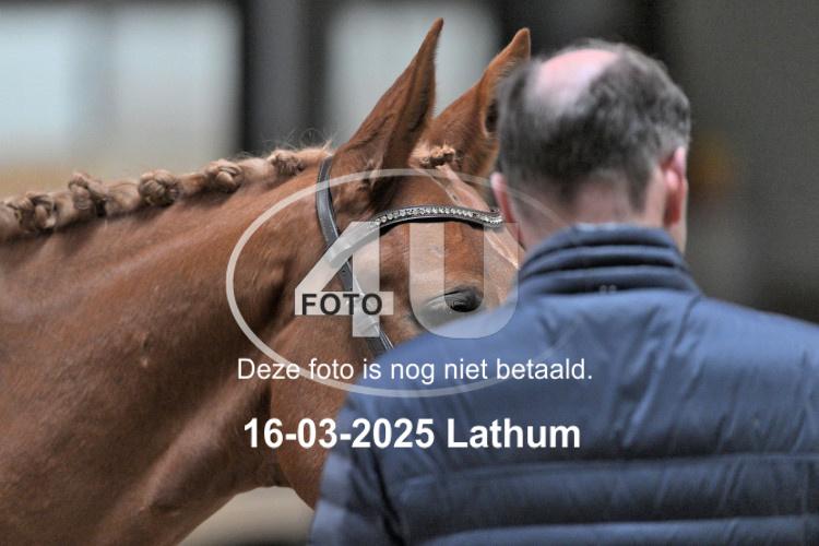 250316 1129