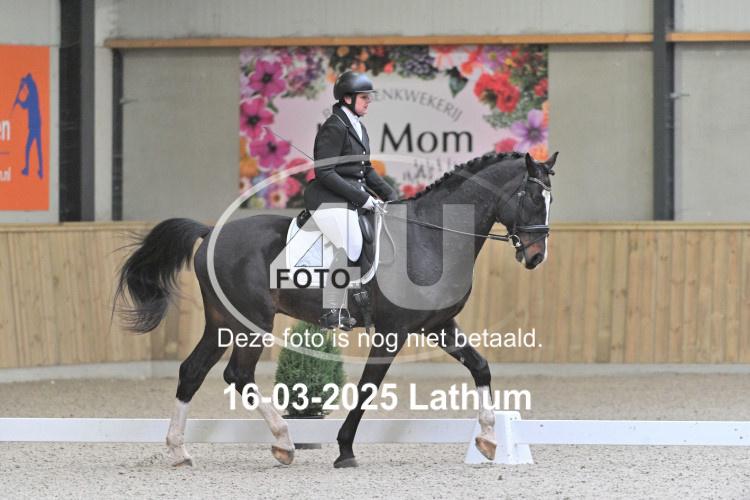 250316 1141