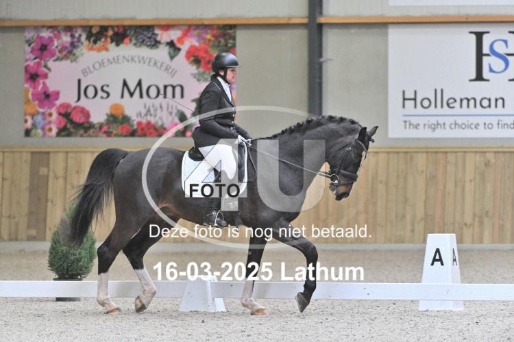250316 1142