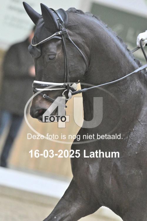 250316 1281