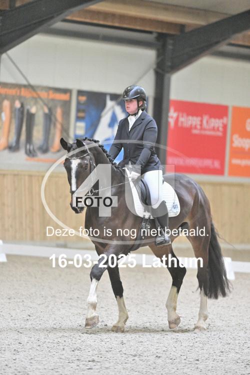 250316 1366