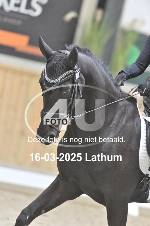 250316 1559