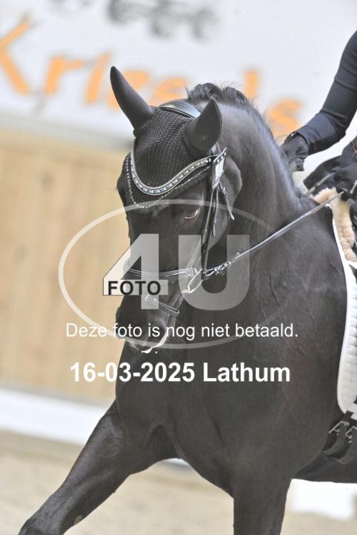 250316 1561