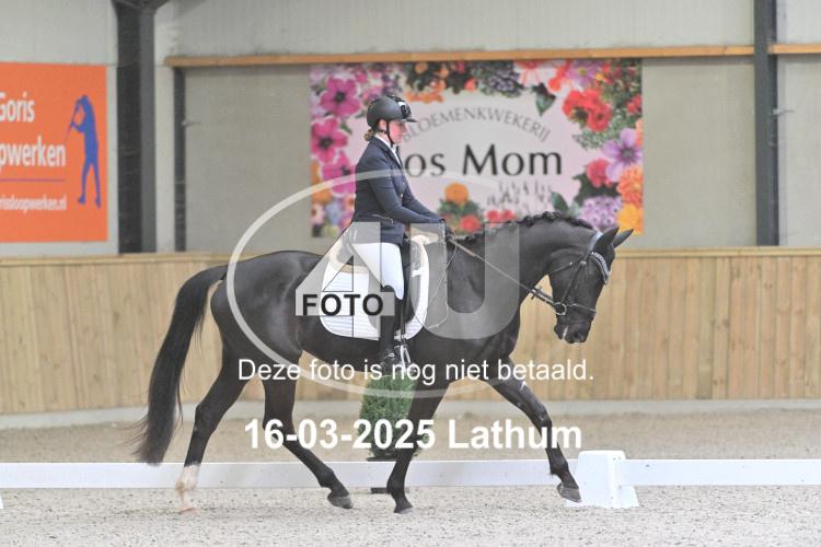 250316 1590