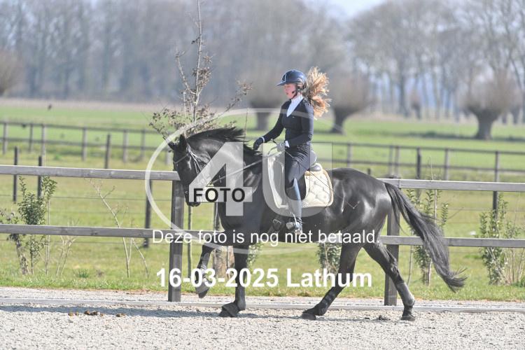 250316 1684