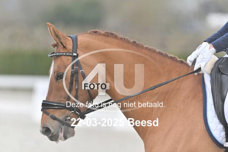 250322 0069