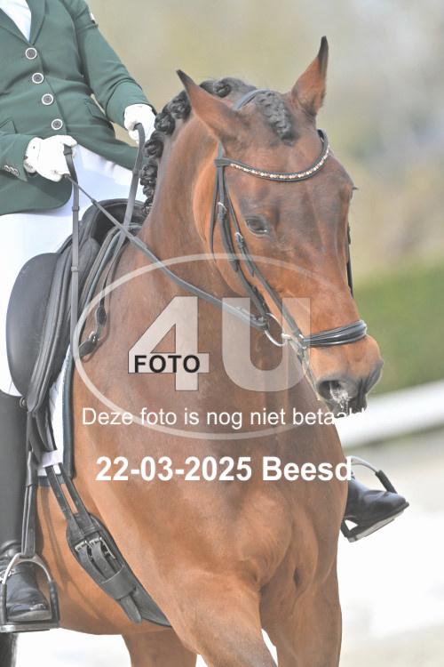 250322 0196