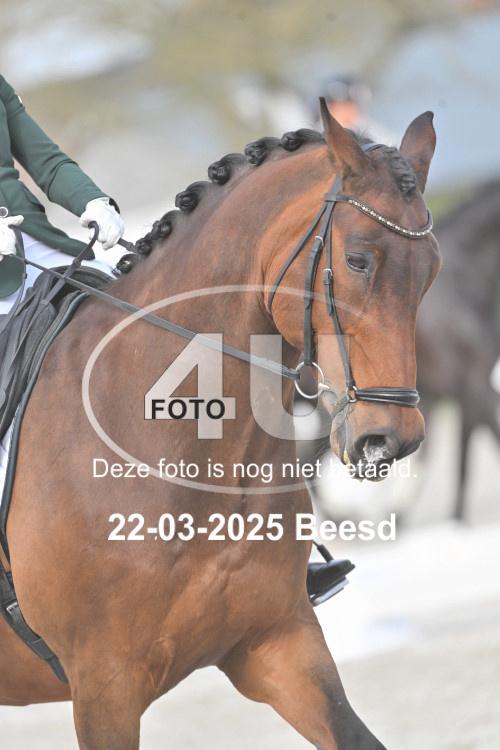 250322 0322