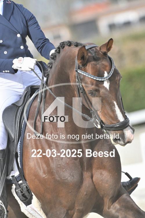 250322 0431