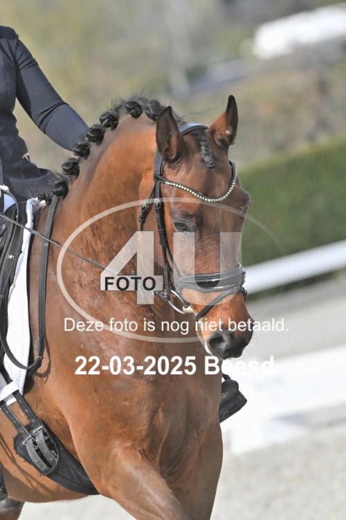 250322 0502