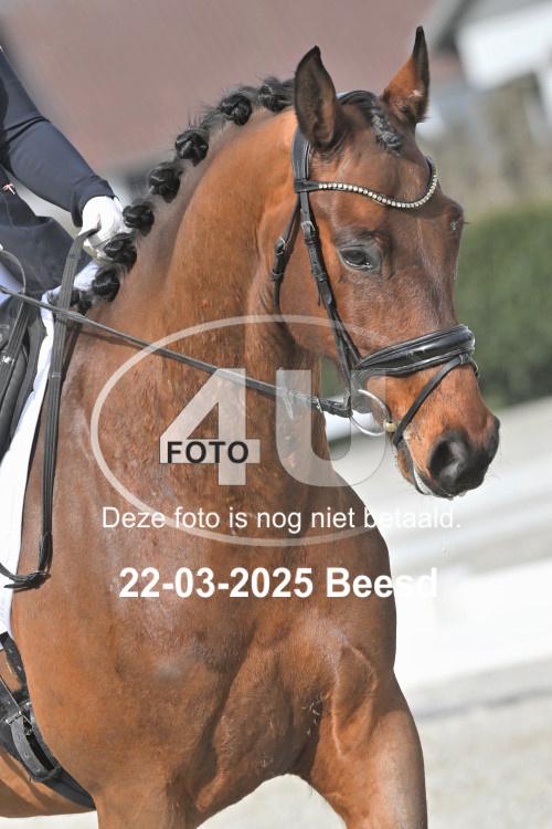 250322 0506