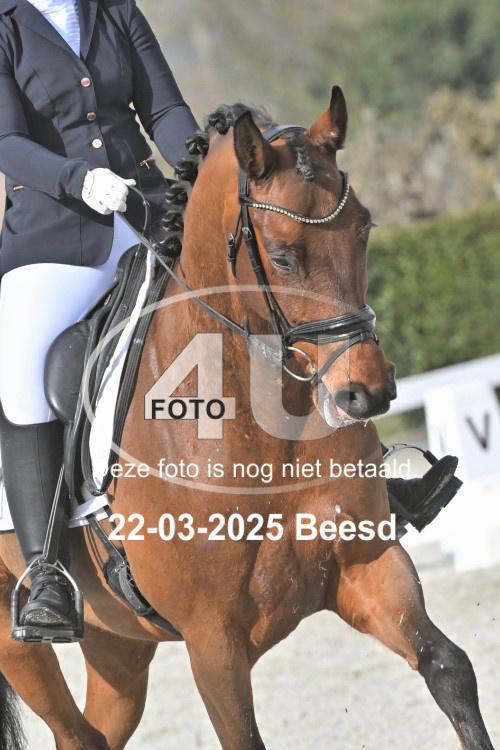 250322 0534
