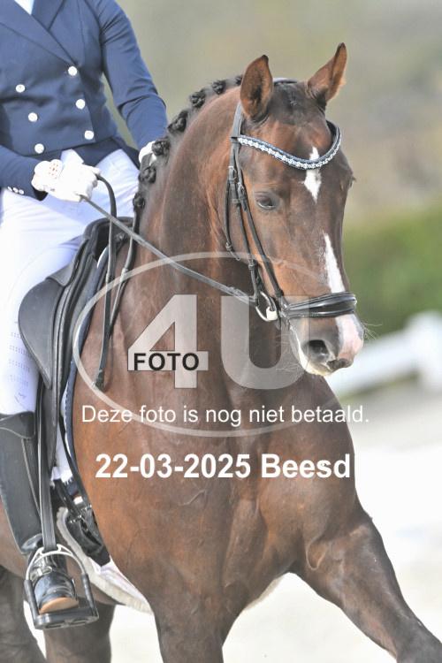 250322 0611