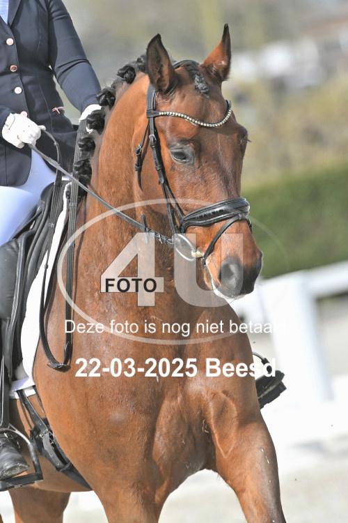 250322 0684