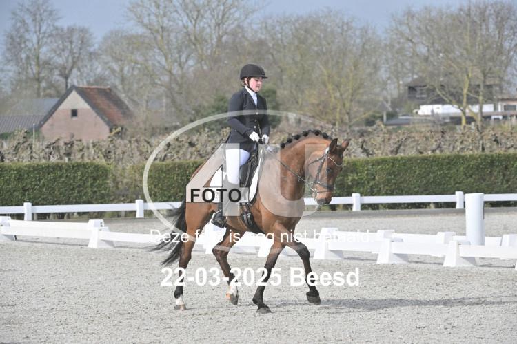250322 0699