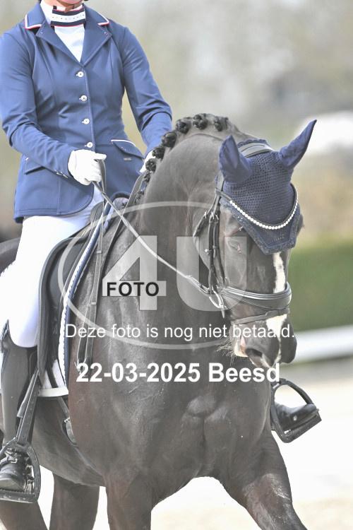 250322 1181