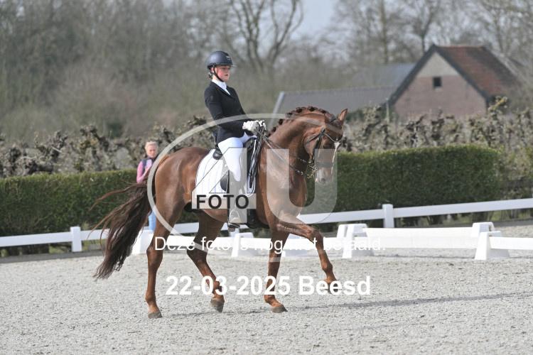 250322 1312