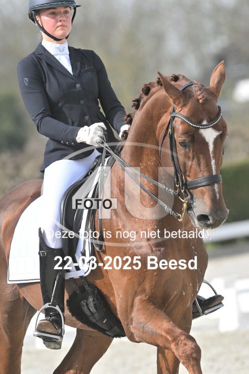 250322 1341