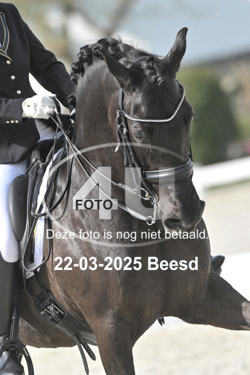 250322 1569