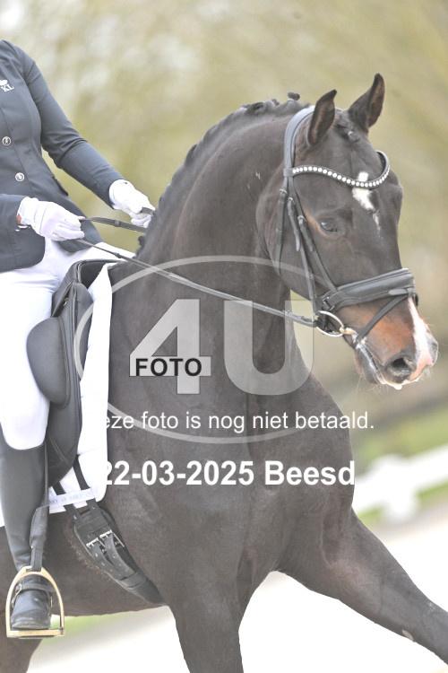 250322 2449
