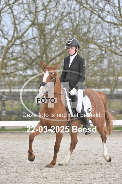 250322 3099