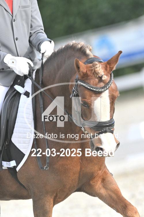 250322 3135