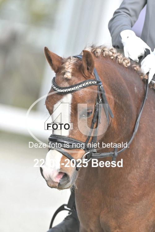 250322 3141