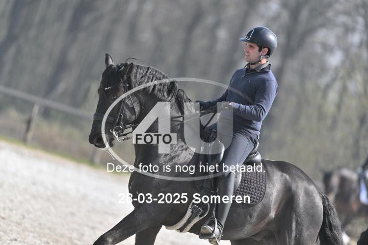 250328 0010